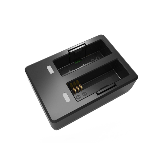 dual-slot battery charger